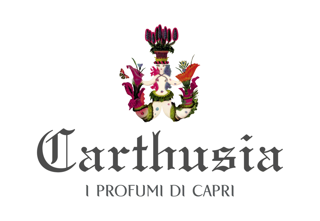 CARTHUSIA 名古屋松坂屋店 閉店のお知らせ