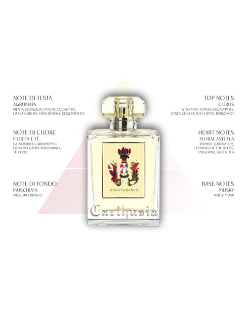 CARTHUSIA〈カルトゥージア〉メディテラネオ リキッドソープ 350ml