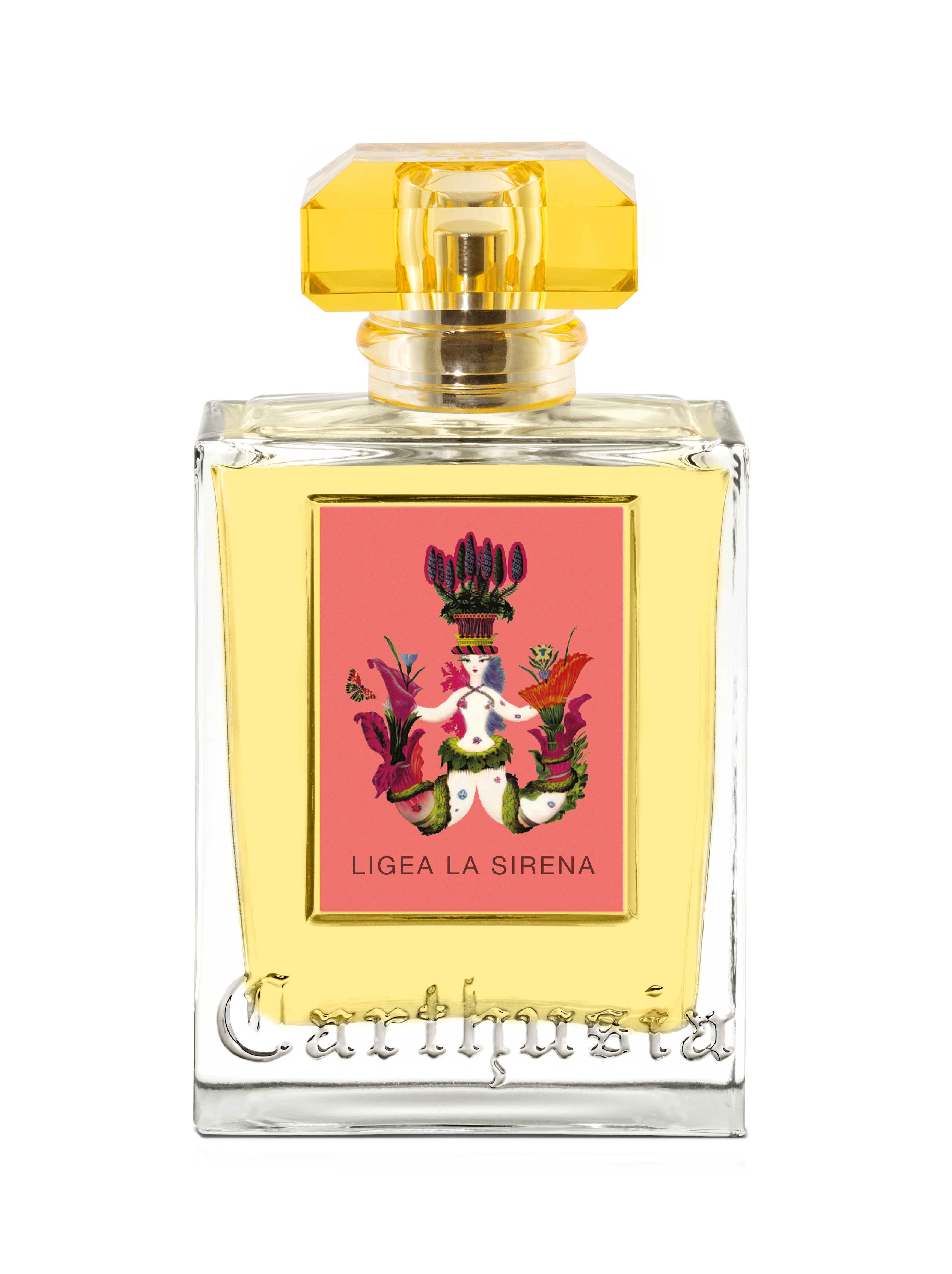Carthusia Terra Mia カルトゥージア　テッラミア　50ml CARTHUSIA〈カルトゥージア〉 テッラミア オードパルファム 50ml