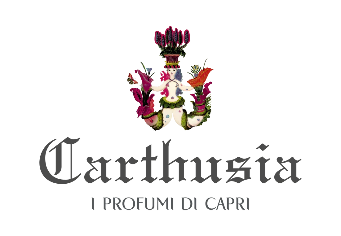 オンラインストア安全性の対応状況について
