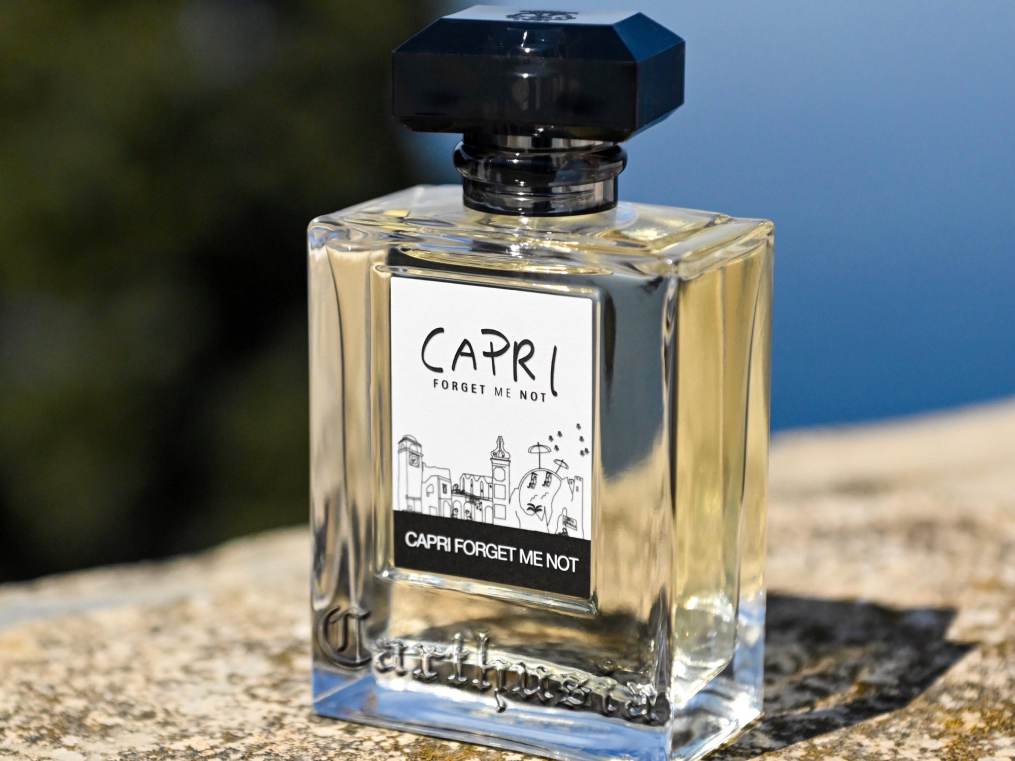 Capri Forget Me Not<br>カプリ フォーゲット ミー ノット