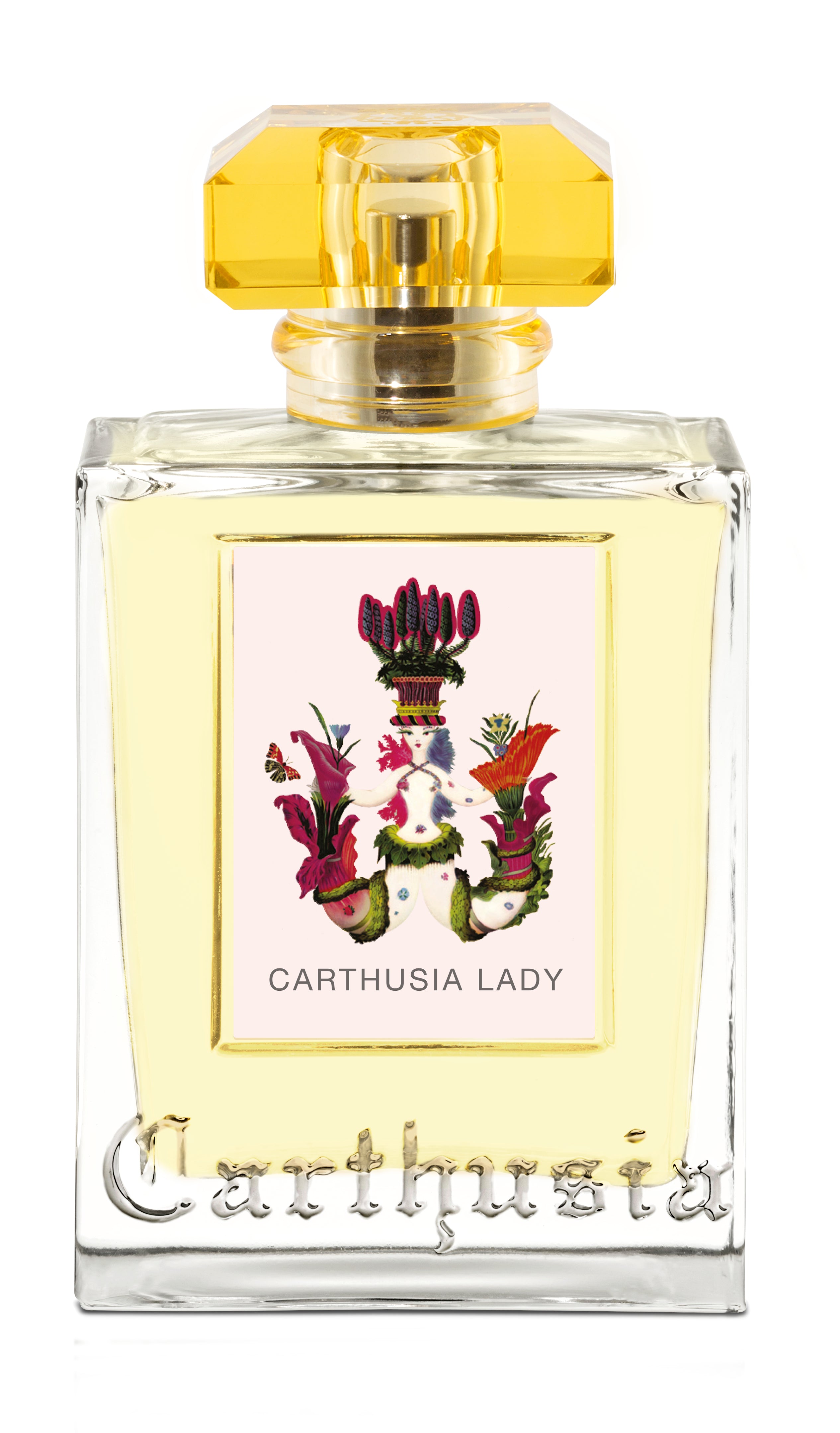 fragrance – Carthusia