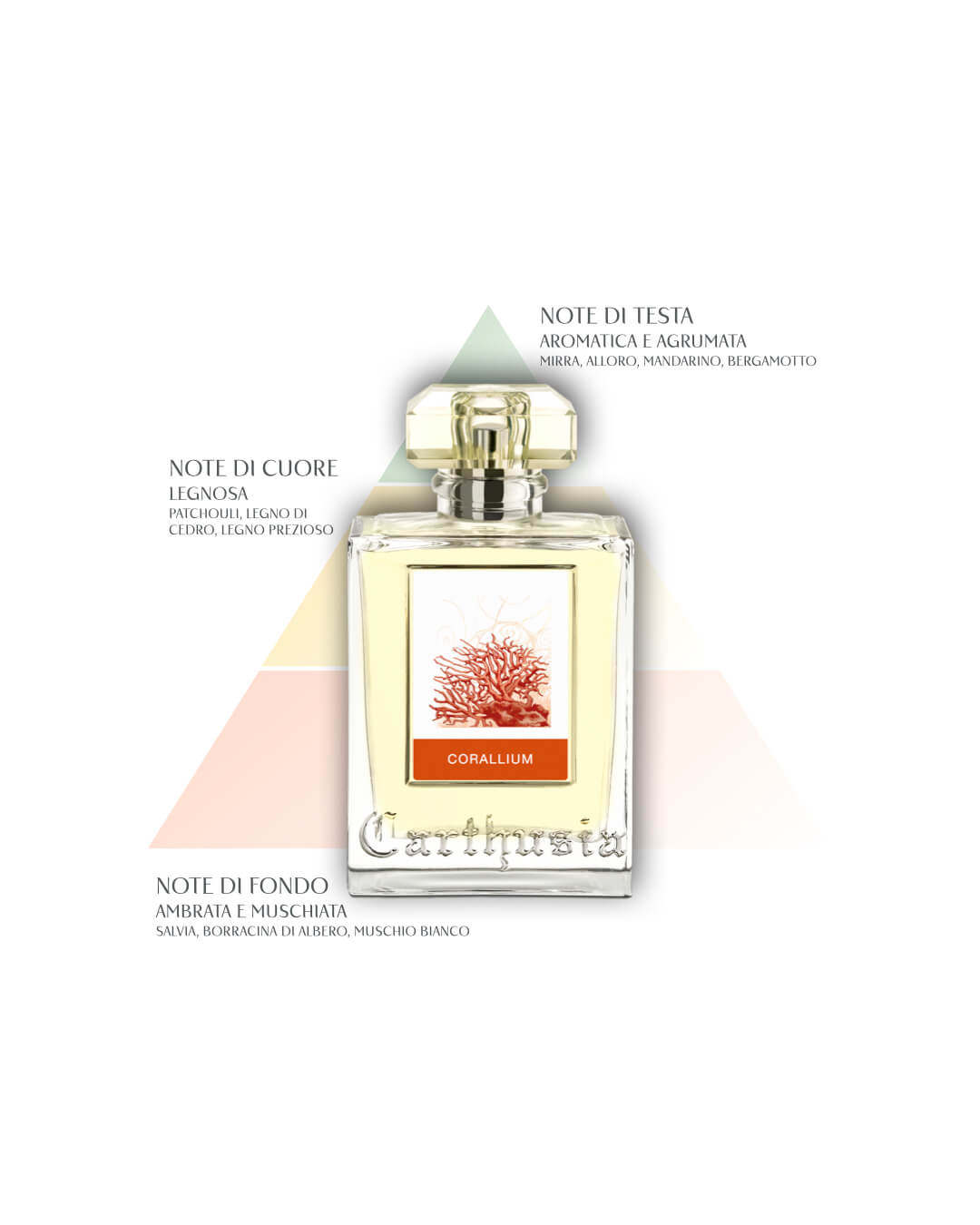 CARTHUSIA〈カルトゥージア〉ホームディフューザー コラリウム 680ml
