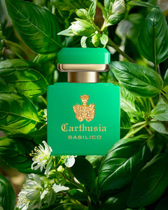 【入荷通知受付中】CARTHUSIA〈カルトゥージア〉インテンソ コレクション バジリコ パルファン 50ml