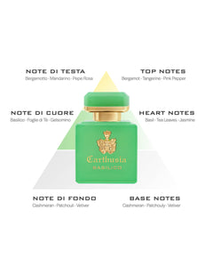 【入荷通知受付中】CARTHUSIA〈カルトゥージア〉インテンソ コレクション バジリコ パルファン 50ml