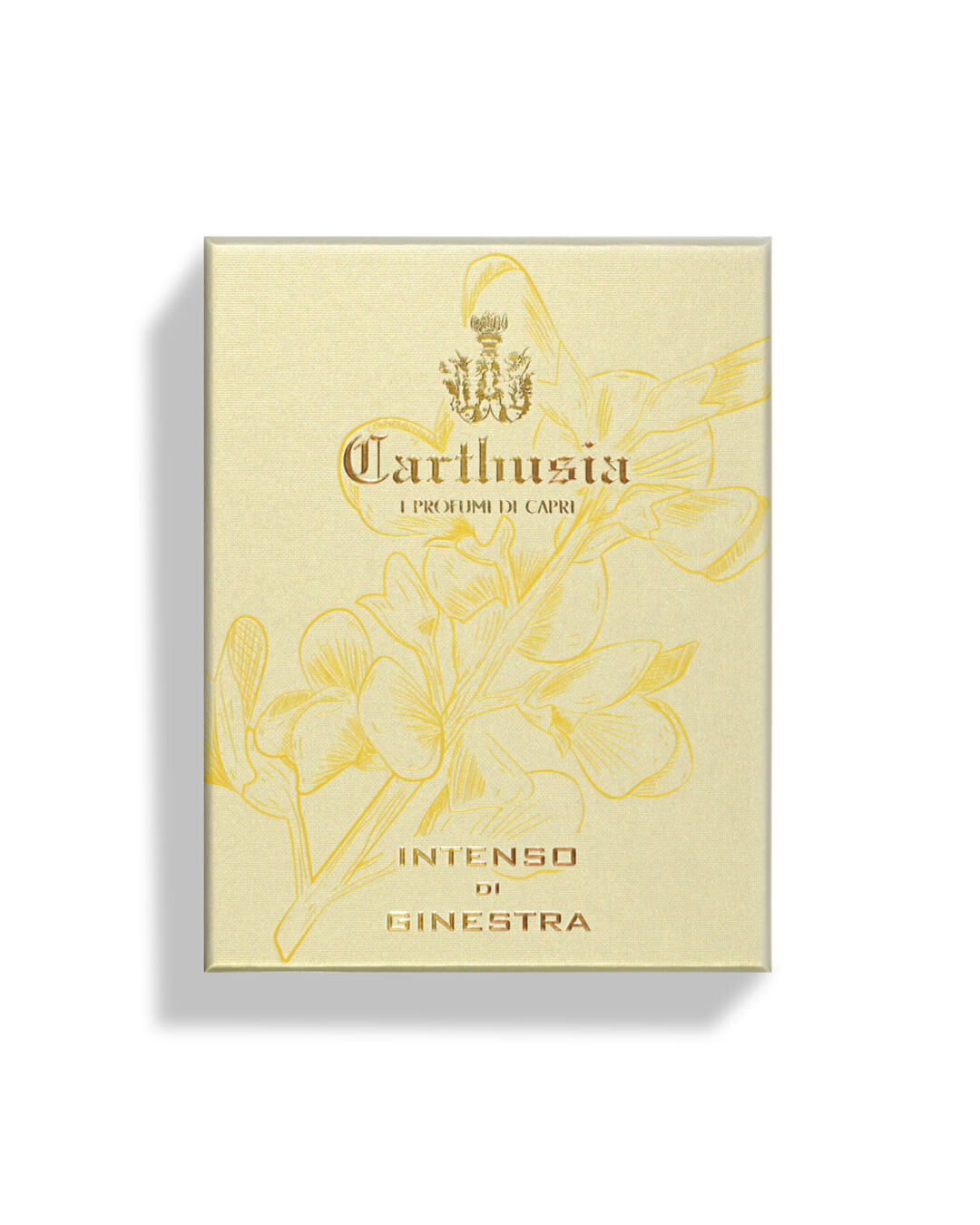 CARTHUSIA〈カルトゥージア〉インテンソ コレクション ジネストラ