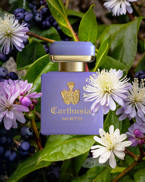 【入荷通知受付中】CARTHUSIA〈カルトゥージア〉インテンソ コレクション ミルト パルファン 50ml