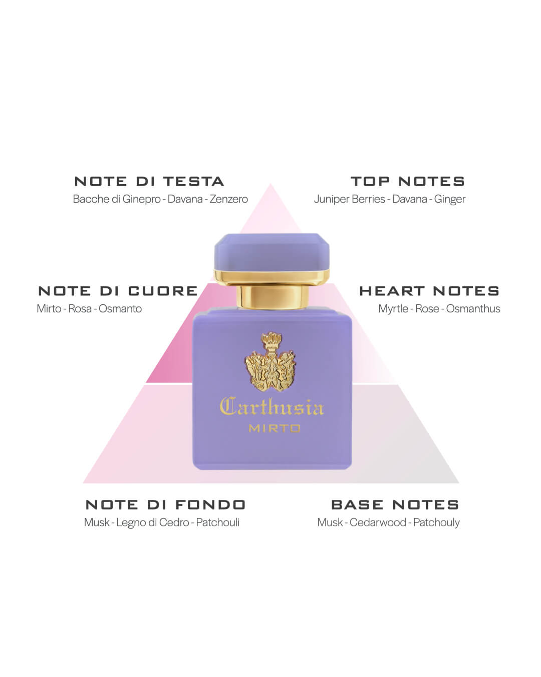 CARTHUSIA〈カルトゥージア〉インテンソ コレクション ミルト