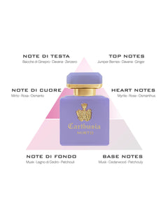 【入荷通知受付中】CARTHUSIA〈カルトゥージア〉インテンソ コレクション ミルト パルファン 50ml