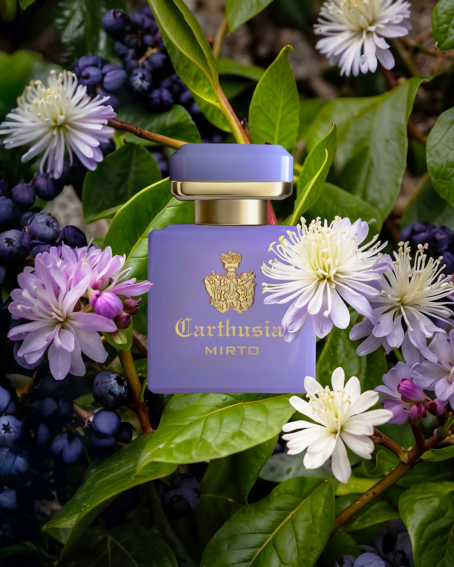 カルトゥージアオフィシャルオンラインショップ – Carthusiaオンライン