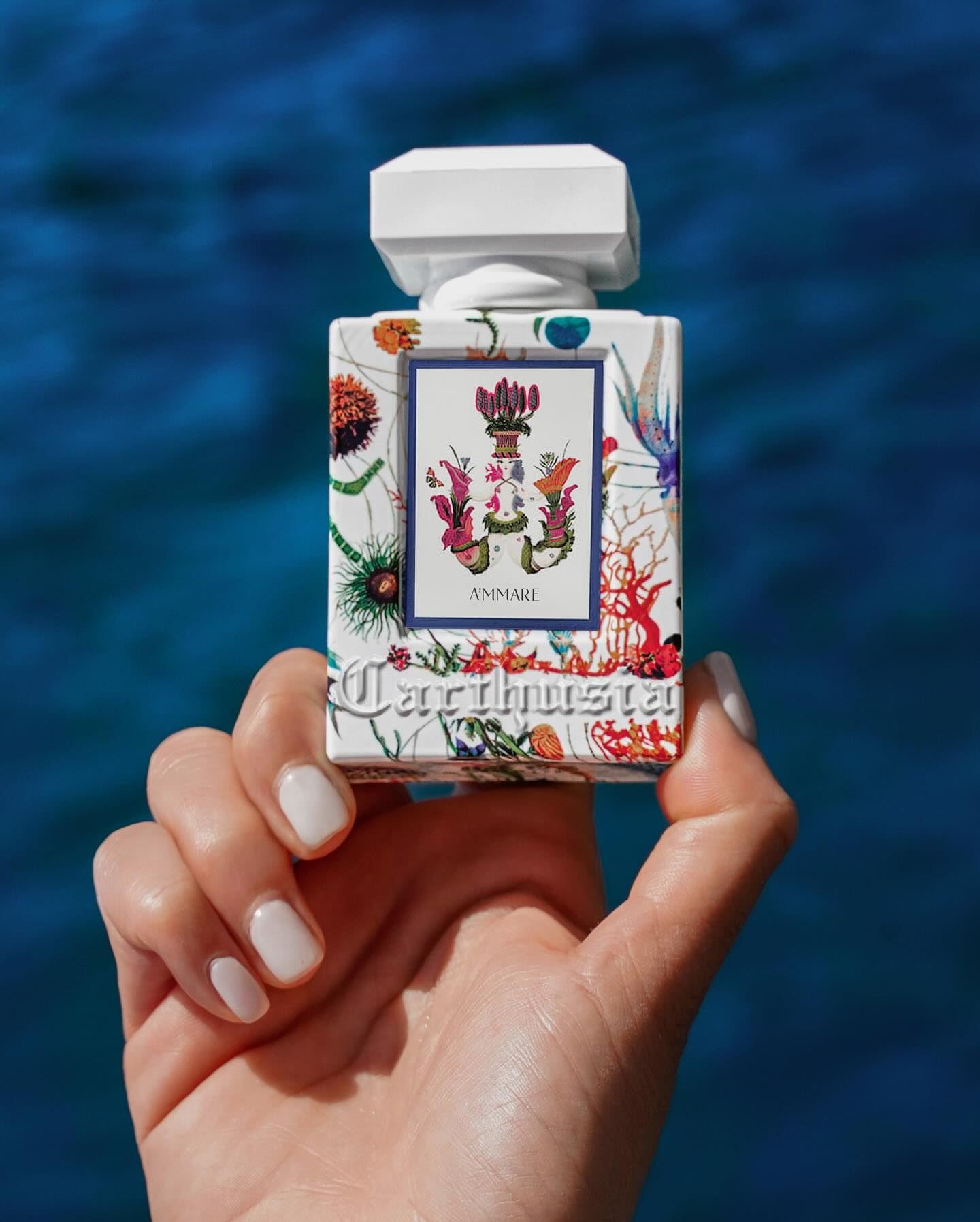 カルトゥージアオフィシャルオンラインショップ – Carthusiaオンライン