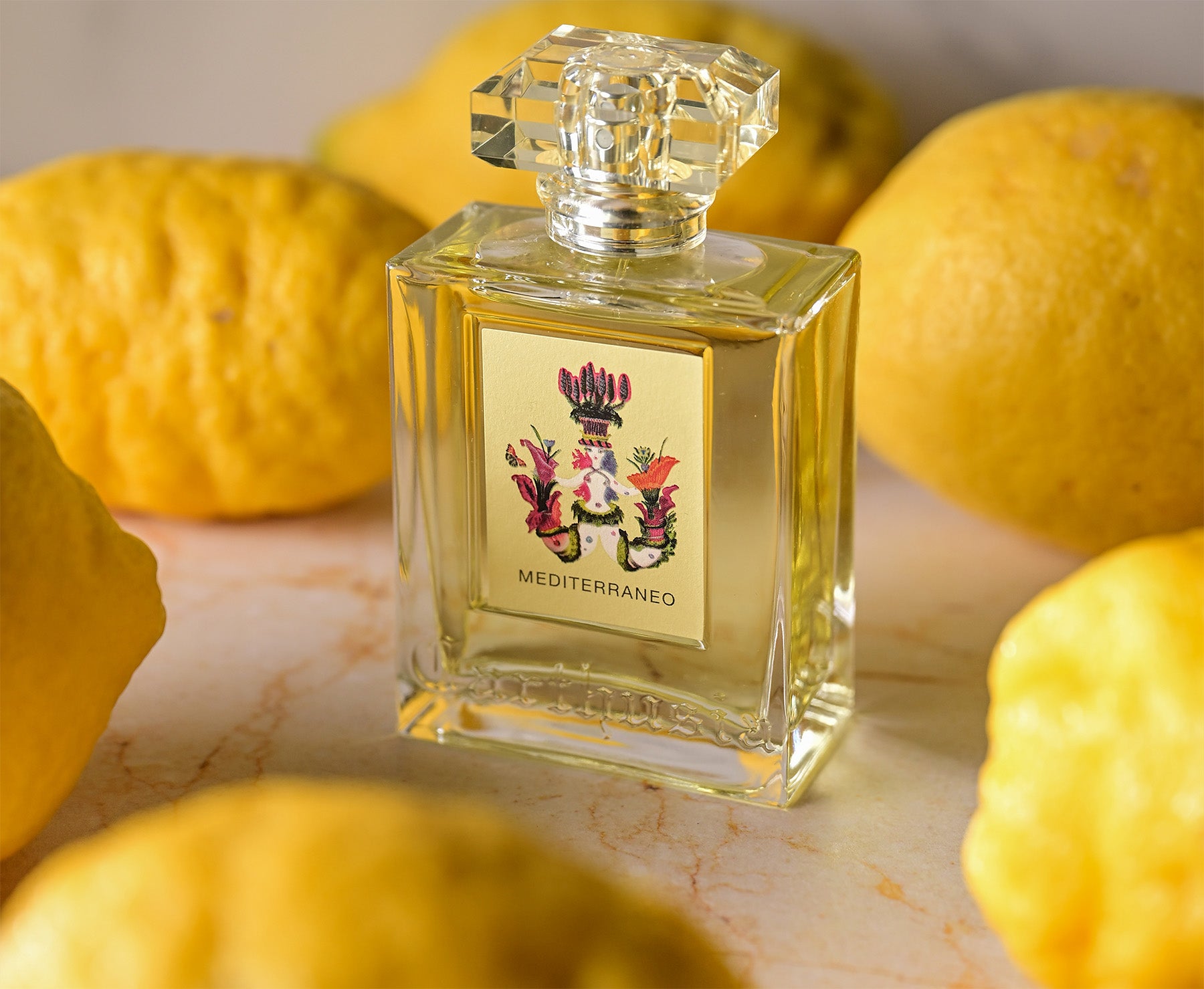 カルトゥージアオフィシャルオンラインショップ – Carthusiaオンライン