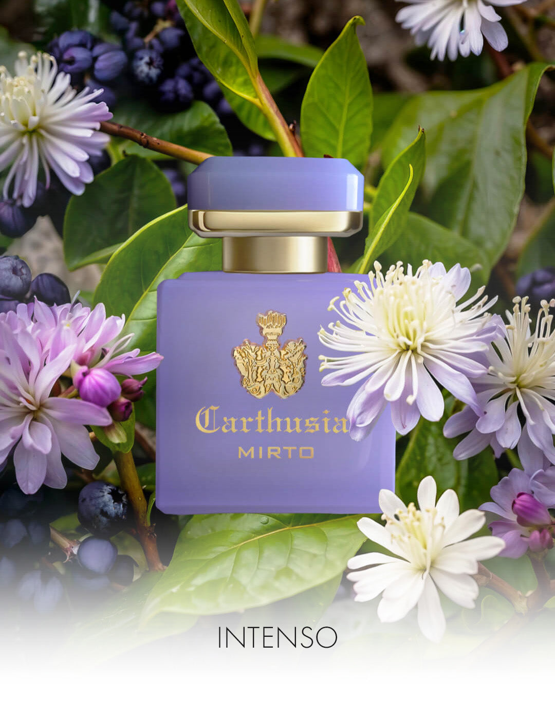 NEW】CARTHUSIA〈カルトゥージア〉ディスカバリーセット（Mare Intorno